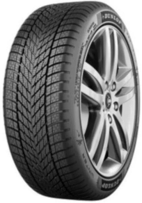 Dunlop Winter