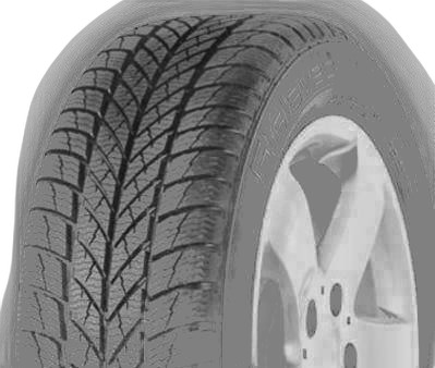 Gislaved Euro Frost 5
