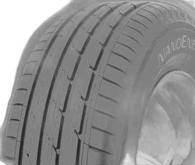 Toyo Nanoenergy 2