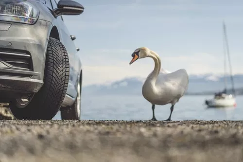 Nokian Seasonproof - 9