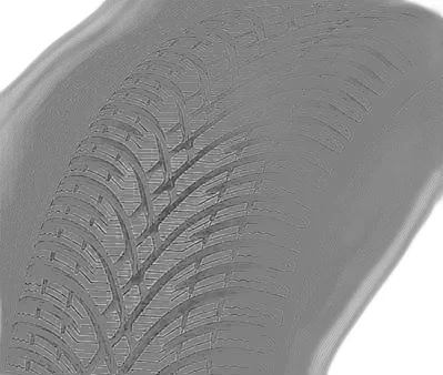 BFGoodrich G-FORCE WINTER 2 SUV